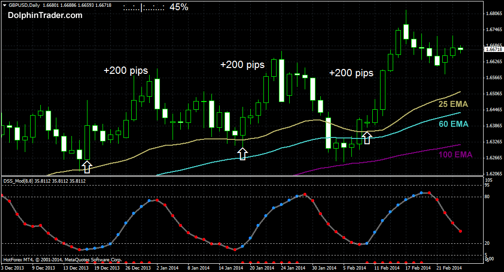 40 pips daily forex
