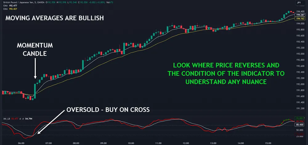 RSI Hybrid Momentum Indicator